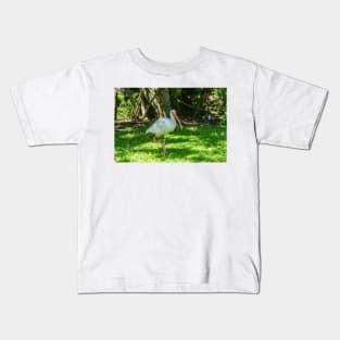 Walking American Ibis Kids T-Shirt